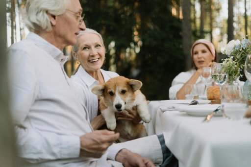 The Comprehensive Guide to Choosing Top-Quality Senior Dog Food for Your Aging Pet